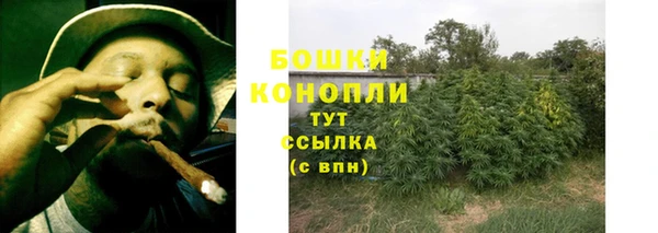 гидра Инсар