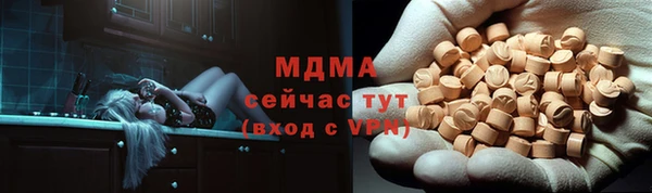 гидра Инсар