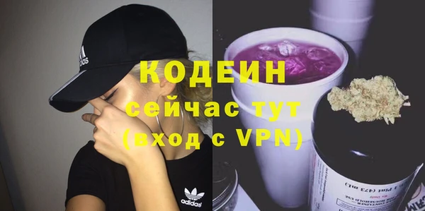 трава Инта