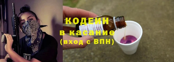 гидра Инсар