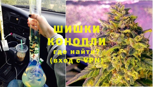 гидра Инсар