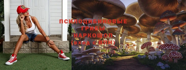 гидра Инсар