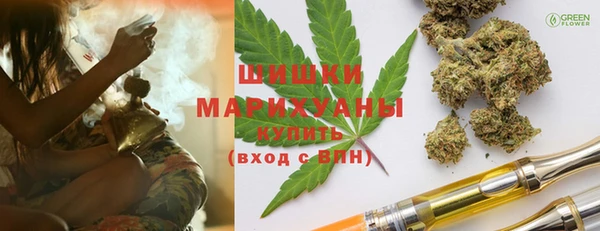 гидра Инсар