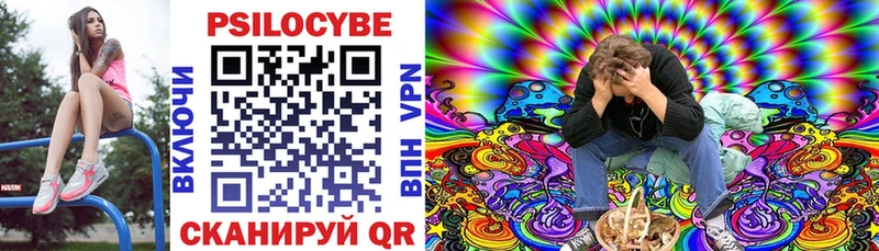Галлюциногенные грибы GOLDEN TEACHER  Купить  Фрязино 